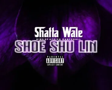 Shatta Wale – Shoe Shu Lin