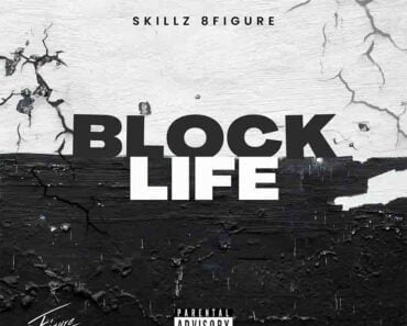 Skillz 8figure – Block Life Skillz 8figure – Block Life