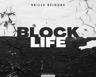 Skillz 8figure – Block Life Skillz 8figure – Block Life
