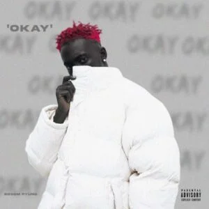 Download-MP3-Bosom-P-Yung-Okay-AaceHypez-net_-mp3-image-300x300 Bosom P-Yung – Okay