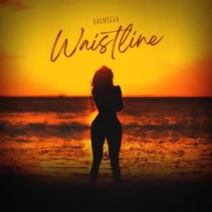Download-MP3-Shenseea-E28093-Waistline-AaceHypez-net_-mp3-image-300x300 Shenseea – Waistline