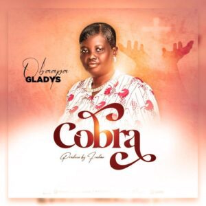 Obaapa-Gladys-Nipa-Ye-Cobra-AaceHypez-net_-mp3-image-300x300 Obaapa Gladys – Nipa Ye Cobra