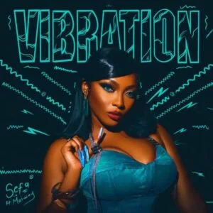 Sefa-–-Vibration-Ft-Meiway-AaceHypez-net_-mp3-image-300x300 Sefa – Vibration Ft Meiway
