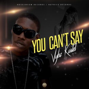 Vybz-Kartel-You-Cant-Say-AaceHypez-net_-mp3-image-300x300 Vybz Kartel – You Can't Say