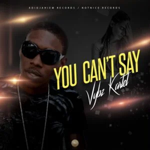 Vybz-Kartel-You-Cant-Say-AaceHypez-net_-mp3-image-300x300 Vybz Kartel – You Can't Say