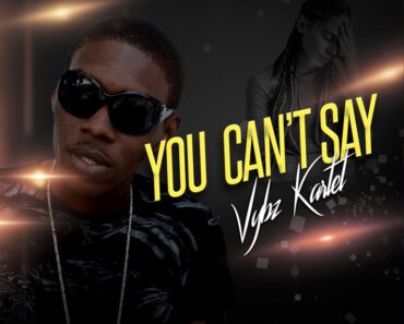 Vybz Kartel – You Can’t Say