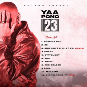 Yaa-Pono-300x300 Yaa Pono – The Dragon