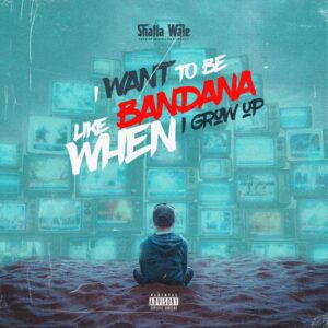 f8520072b15de2aca923c2a0ab26756385e9158f893bb260660eb6d30eedd88b-300x300 Shatta Wale – I Want To Be Like Bandana
