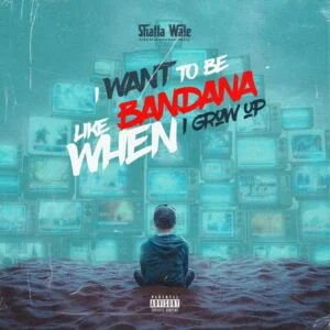 f8520072b15de2aca923c2a0ab26756385e9158f893bb260660eb6d30eedd88b-300x300 Shatta Wale – I Want To Be Like Bandana