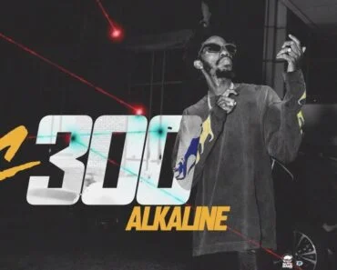 Alkaline – C300