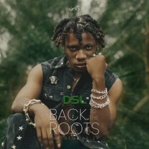 DSL-Im-High_AaceHypez-net_-mp3-image-300x300 DSL – Back To The Roots (Full EP)