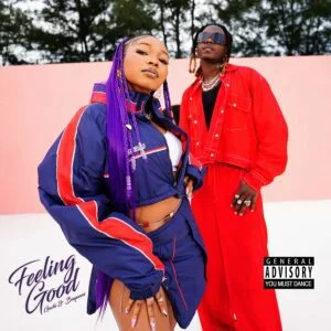 Guchi-Feeling-Good-Ft-Bayanni-300x300 Guchi – Feeling Good Ft Bayanni