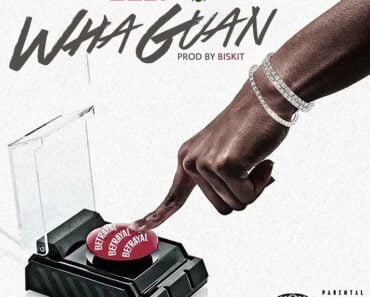Addi Self – Whaguan