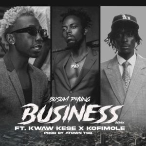 Bosom-P-Yung-BusinessRemix-Ft-Kwaw-Kese-Kofi-Mole_AaceHypez-net_-mp3-image-300x300 Bosom P-Yung – Business Remix Ft Kwaw Kese & Kofi Mole