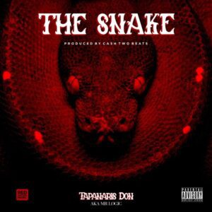 Mr-Logic-–-The-Snake-AaceHypez-net_-mp3-image-300x300 Mr Logic – The Snake (Shatta Wale Diss)