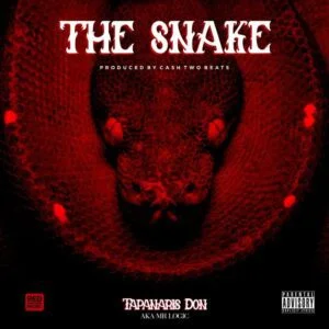 Mr-Logic-–-The-Snake-AaceHypez-net_-mp3-image-300x300 Mr Logic – The Snake (Shatta Wale Diss)