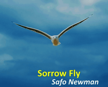 Safo Newman – Sorrow Fly Safo Newman – Sorrow Fly