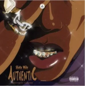 Shatta-Wale-Authentic-AaceHypez-net_-mp3-image-298x300 Shatta Wale – Authentic
