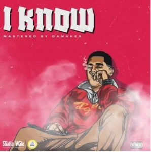 Shatta-Wale-I-Know-AaceHypez-net_-mp3-image-298x300 Shatta Wale – I Know