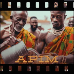 Download-MP3-Shatta-Wale-Apim-AaceHypez-net_-mp3-image-300x297 Shatta Wale – Apim