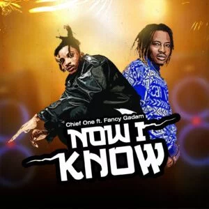 Chief-One-Now-I-Know-Ft-Fancy-Gadam-AaceHypez-net_-mp3-image-300x300 Chief One – Now I Know Ft Fancy Gadam
