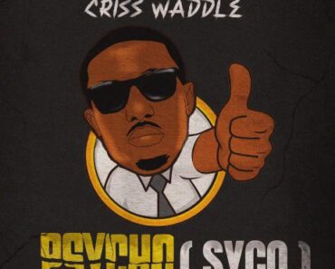 Criss Waddle – Psycho (Syco)