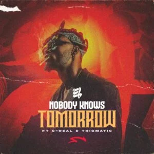 E-L-Nobody-Knows-Tomorrow-Ft-C-Real-Trigmatic_AaceHypez-net_-mp3-image-300x300 E.L – Nobody Knows Tomorrow Ft C-Real & Trigmatic