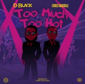 D-Black-X-Criss-Waddle-Too-Much-Too-Hot-AaceHypez-net_-mp3-image-300x296 D-Black – Too Much Too Hot Ft Criss Waddle