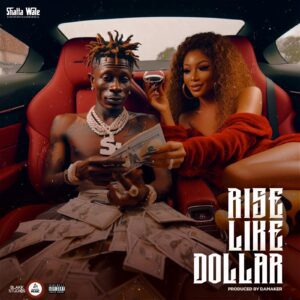 Shatta-Wale-Rise-Like-Dollar-AaceHypez-net_-mp3-image-300x300 Shatta Wale – Rise Like Dollar