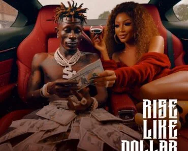 Shatta Wale – Rise Like Dollar
