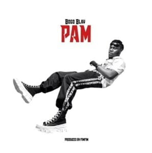 Bogo-Blay-PAM-AaceHypez-net_-mp3-image-298x300 Bogo Blay – PAM