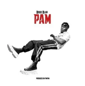Bogo-Blay-PAM-AaceHypez-net_-mp3-image-298x300 Bogo Blay – PAM