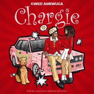 Kwesi-Amewuga-Chargie-AaceHypez-net_-mp3-image-300x300 Kwesi Amewuga – Chargie