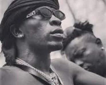 Shatta Wale – Default