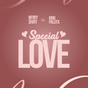 Special-Love-AaceHypez-net_-mp3-image-300x300 Wendy Shay – Special Love Ft King Paluta