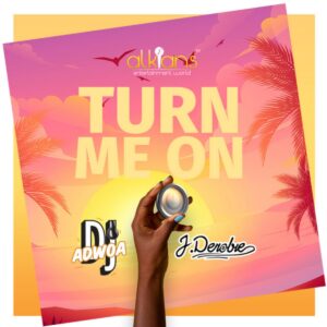Turn-Me-On-Dj-Adwoa-AaceHypez-net_-mp3-image-300x300 DJ Adwoa – Turn Me On Ft J.Derobie