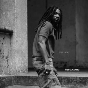 Pure-Akan-Den-Ntia-ft-Fameye-AaceHypez-net_-mp3-image-300x300 Pure Akan – Yede Gye Sen