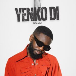 Bisa-Kdei-Yenkodi-AaceHypez-net_-mp3-image-300x300 Bisa Kdei – Yenkodi