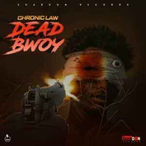 Chronic-Law-Dead-Bwoy-AaceHypez-net_-mp3-image-300x300 Chronic Law – Dead Bwoy