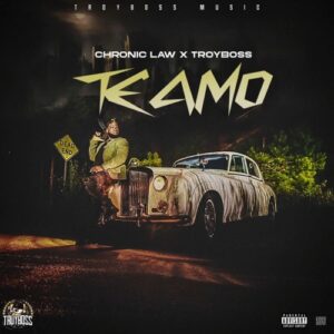 Chronic-Law-Te-Amo-AaceHypez-net_-mp3-image-300x300 Chronic Law – Te Amo