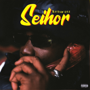 DarkoVibes-Seihor-AaceHypez-net_-mp3-image-300x300 DarkoVibes – Seihor