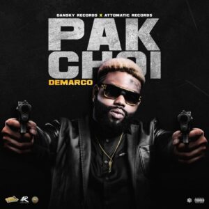Demarco-Pak-Choi-Rooster-Riddim-AaceHypez-net_-mp3-image-300x300 Demarco – Pak Choi