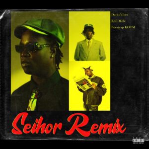 DarkoVibes-Seihor-Remix-Ft-Kofi-Mole-Beeztrap-KOTM-AaceHypez-net_-mp3-image-300x300 DarkoVibes – Seihor Remix Ft Kofi Mole & Beeztrap KOTM