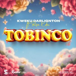 Kweku-Darlington-E28093-Tobinco-Ft-Bisa-Kdei-AaceHypez-net_-mp3-image-300x300 Kweku Darlington – Tobinco Ft Bisa Kdei