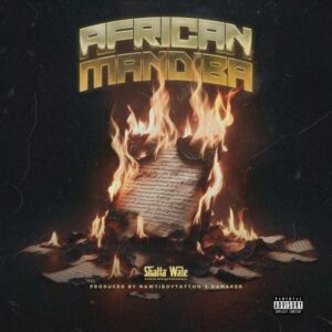 Shatta-Wale-African-Mandiba-AaceHypez-net_-mp3-image-300x300 Shatta Wale – African Mandiba