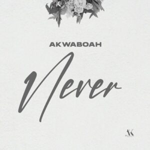 Akwaboah-–-Never-AaceHypez-net_-mp3-image-300x300 Akwaboah – Never