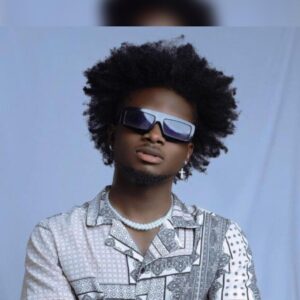Kuami-Eugene-Awoo-Mawugne-AaceHypez-net_-mp3-image-300x300 Kuami Eugene – Awoo Mawugne