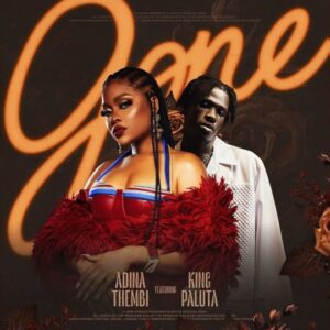 Adina-Thembi-Gone-Ft-King-Paluta-AaceHypez-net_-mp3-image-300x300 Adina Thembi – Gone Ft King Paluta