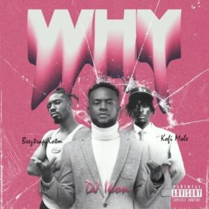 DJ-Ikon-Why-Ft-Beeztrap-KOTM-Kofi-Mole-AaceHypez-net_-mp3-image-300x300 DJ Ikon – Why Ft Beeztrap KOTM & Kofi Mole