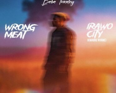 Baba Tundey – Wrong Meat Baba Tundey – Wrong Meat